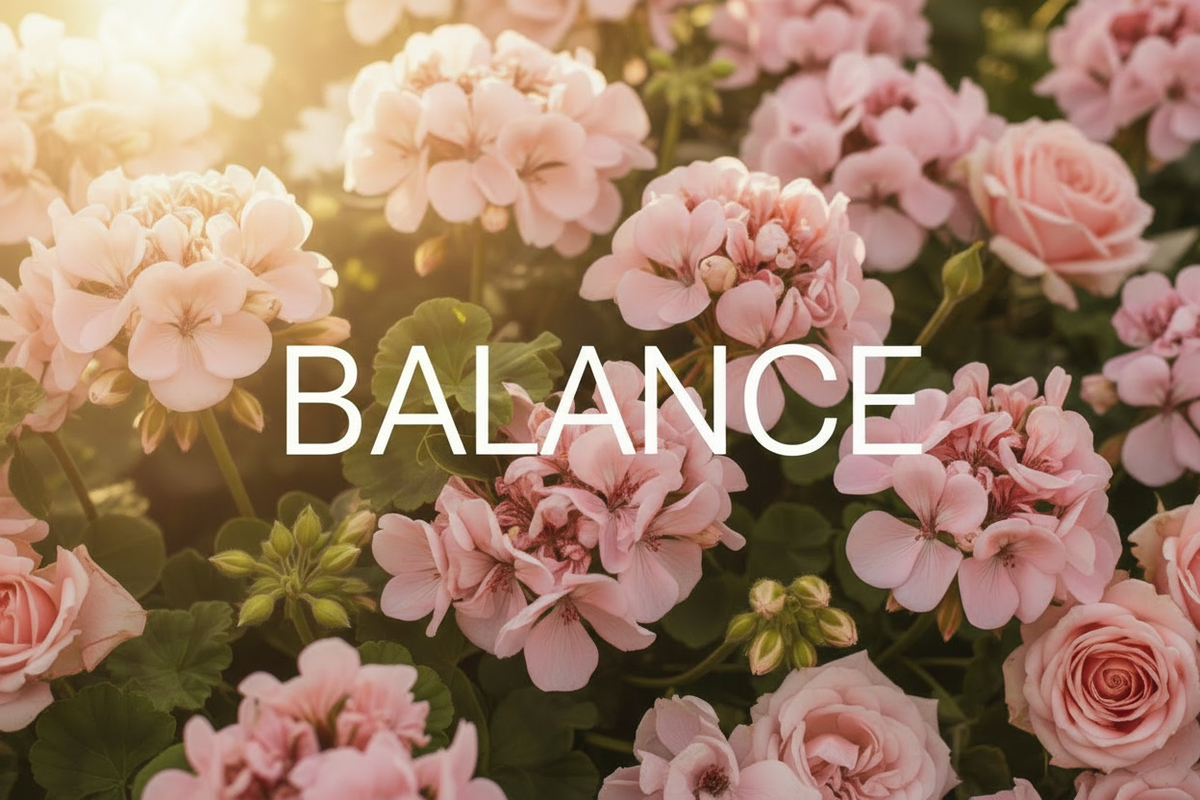 BALANCE Hero Image - White Geraniums & Pink Roses