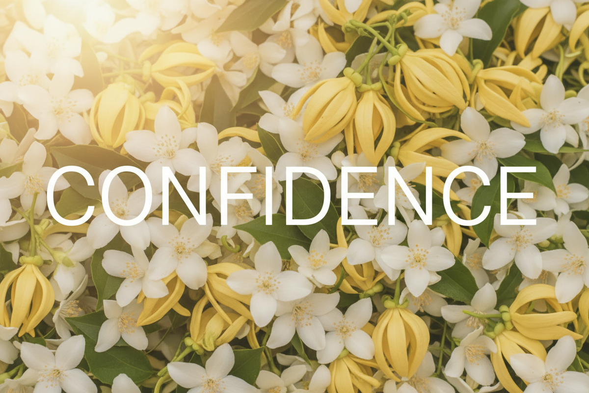 CONFIDENCE Hero Image